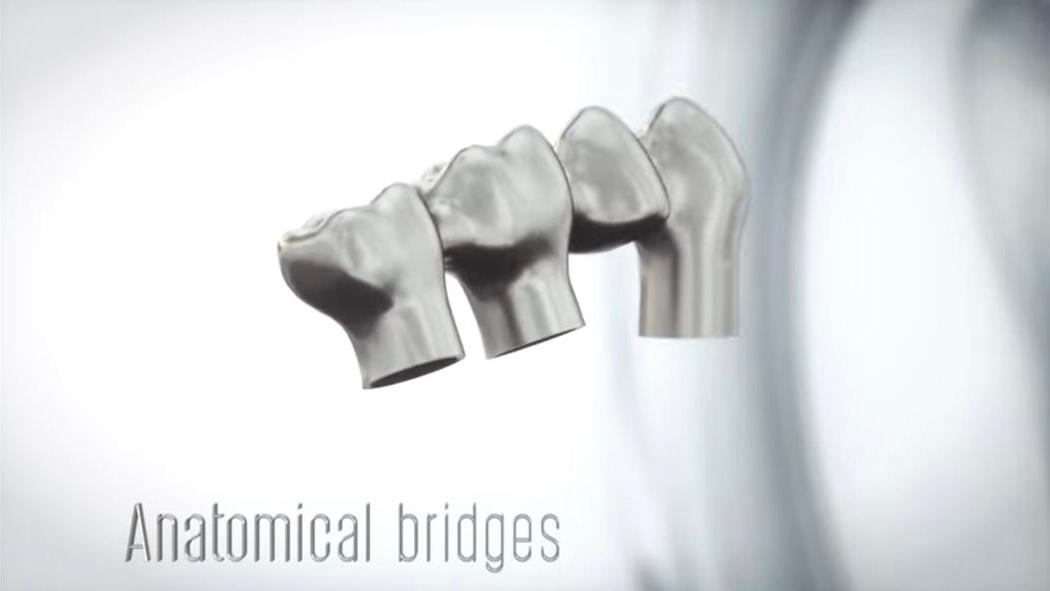 Anatomical Bridges
